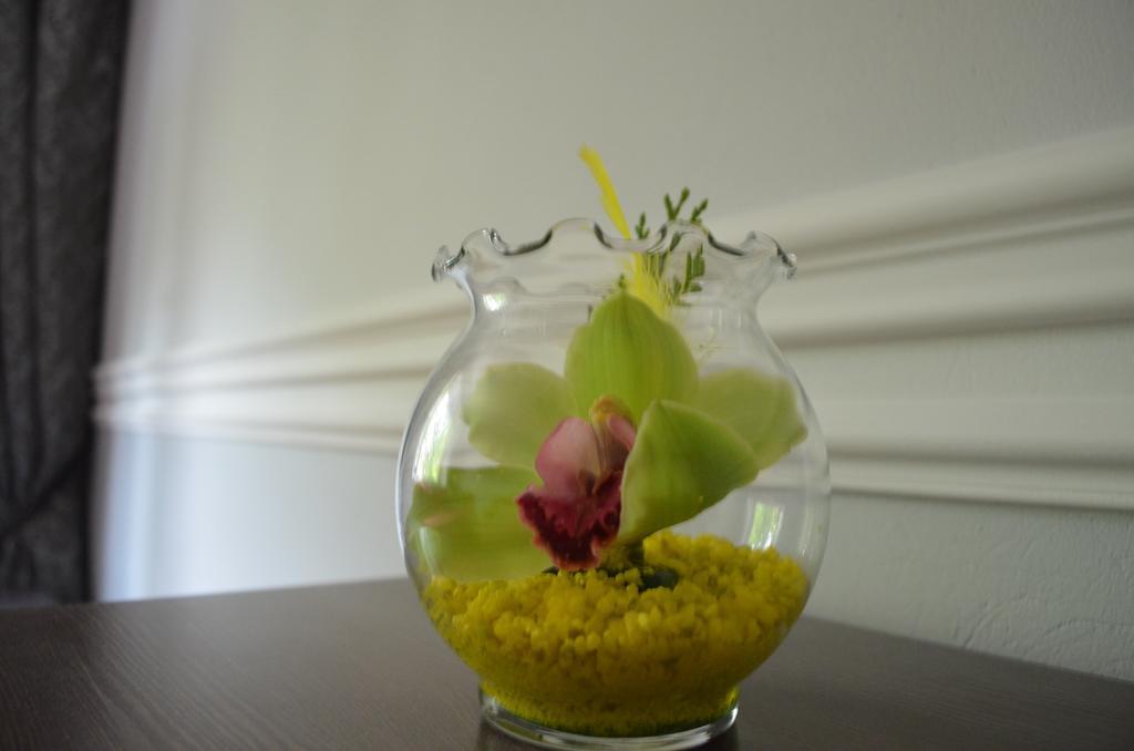 Apartament Orchidea Centrum Varşova Oda fotoğraf