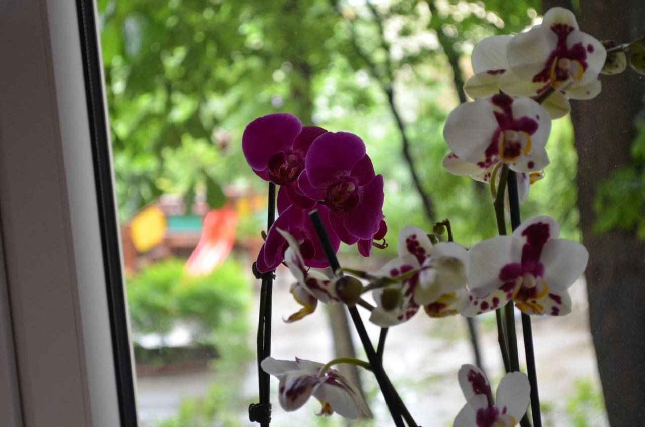 Apartament Orchidea Centrum Varşova Dış mekan fotoğraf